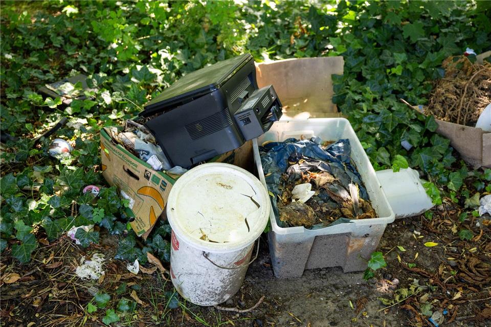 Auch in Grünflächen entsorgen Menschen illegalen Abfall.Christophe Gateau/dpa