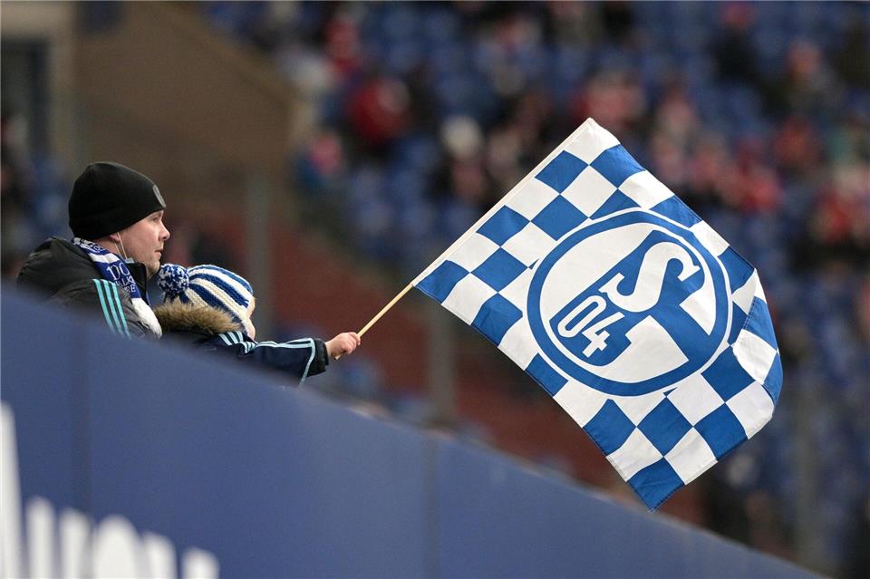 Auch in der kommenden Saison bietet der FC Schalke 04 sogenannte Schoßkarten für kleine Kinder an. David Inderlied/dpa