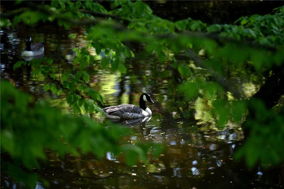 Auch in der zweiten Wochenhälfte bleibt es trocken. Celine Frohnapfel/dpa
