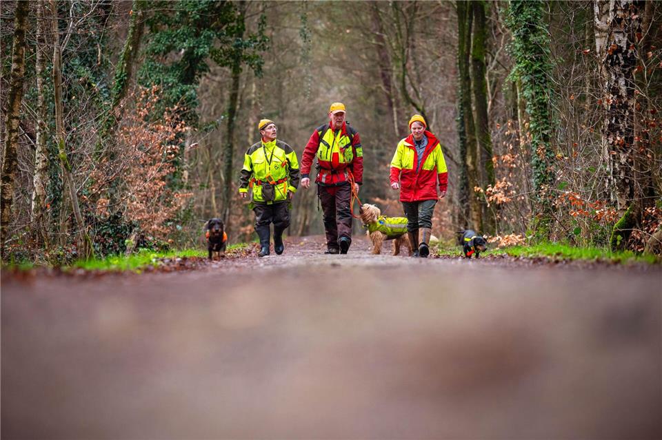 Auch kleinere Hunde wie Dackel kommen zum Einsatz. (Archivbild)Sina Schuldt/dpa