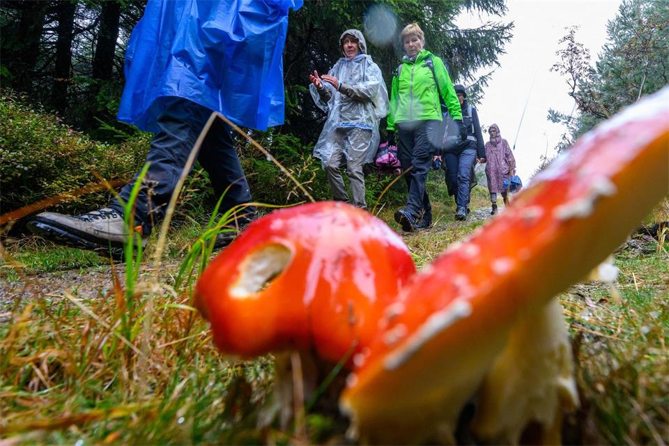 Auch teils schlechtes Wetter mit Wind und Regen hielt die Wanderer nicht von den Touren ab. (Archivbild)Hendrik Schmidt/dpa