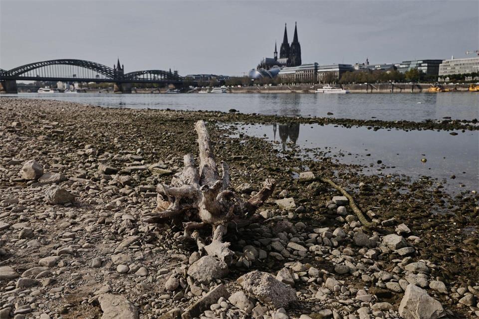 Auch viele deutsche Flüsse hatten sehr niedrige Pegelstände. (Symbolbild) Oliver Berg/dpa