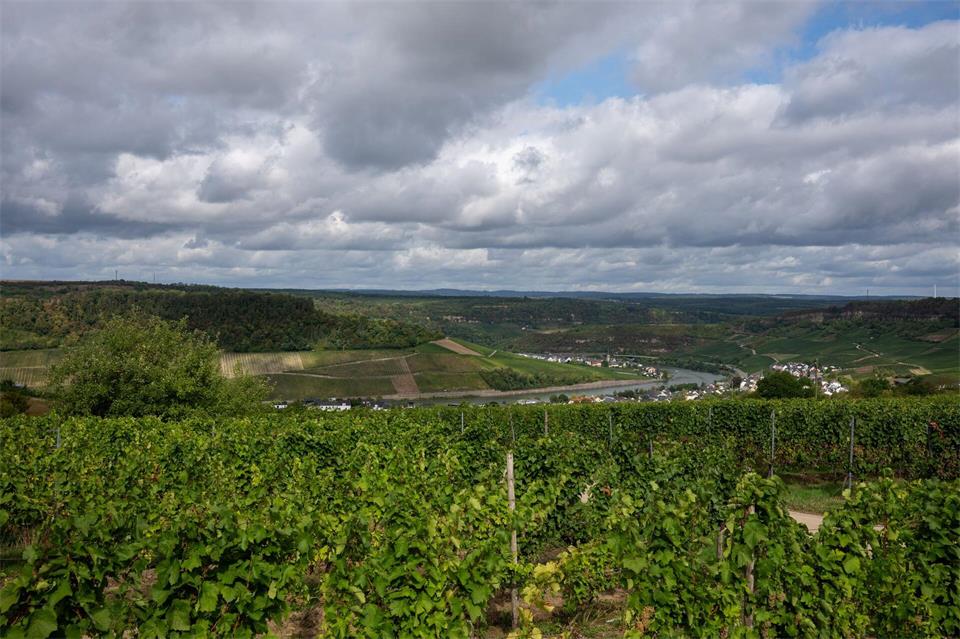 Auch, wenn es immer Wolken gibt, wird vor allem der Dienstag sommerlich warm. (Archivbild)Harald Tittel/dpa