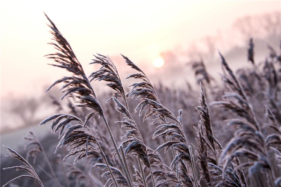 Auch wenn sich die Temperaturen zu Beginn der neuen Woche tagsüber im Plusbereich befinden, bleibt es in den Nächten frostig. (Symbolbild)Daniel Bockwoldt/dpa