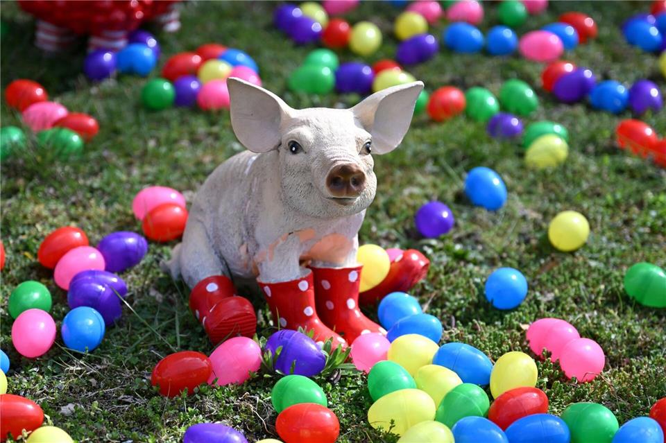 Auch zahlreiche Tiere wie etwa dieses Schwein oder auch eine Giraffe und zahlreiche Affen stehen zwischen den bunten Eiern.Elisa Schu/dpa