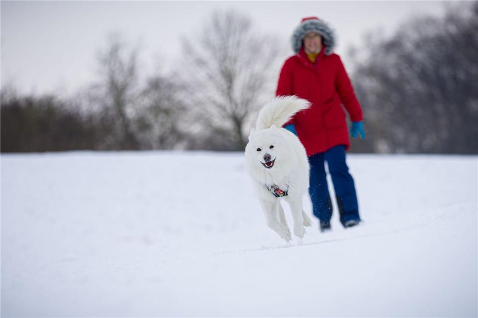 Auch zum Wochenstart bleibt es in Niedersachsen frostig kalt.Moritz Frankenberg/dpa