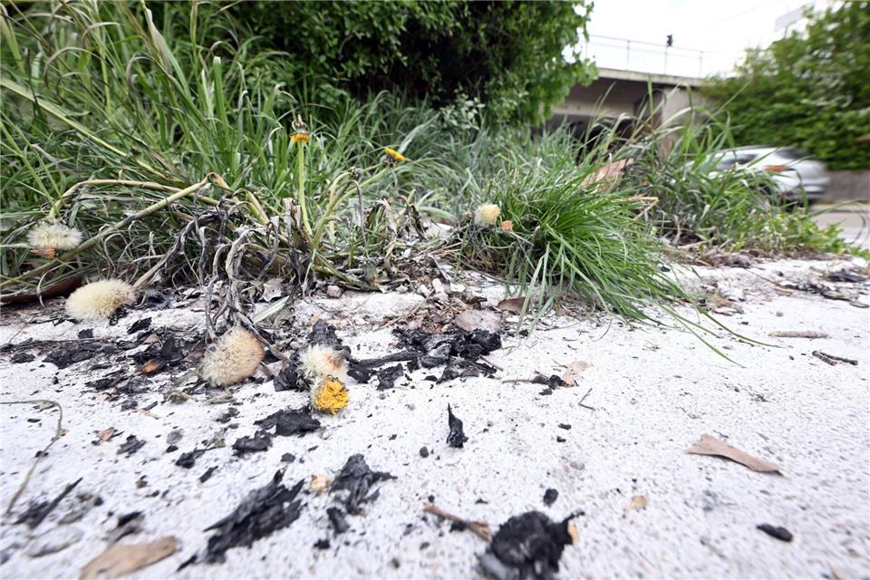 Auch zwei Tage nach dem Vorfall sind die Spuren noch zu sehen.Uli Deck/dpa