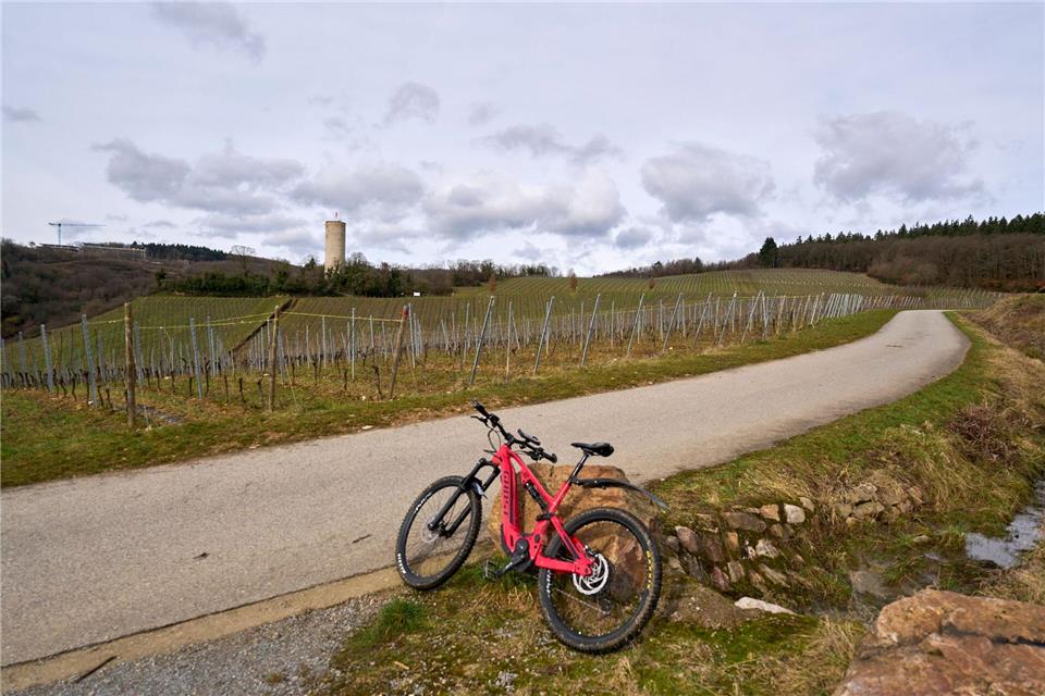 Audio- und Videoclips fürs Smartphone bieten Wissenswertes über die Region - digitale Angebote sorgen dafür, dass man den Rheingau auf einer Radtour in seinem eigenen Tempo erkunden kann.Sascha Ditscher/dpa