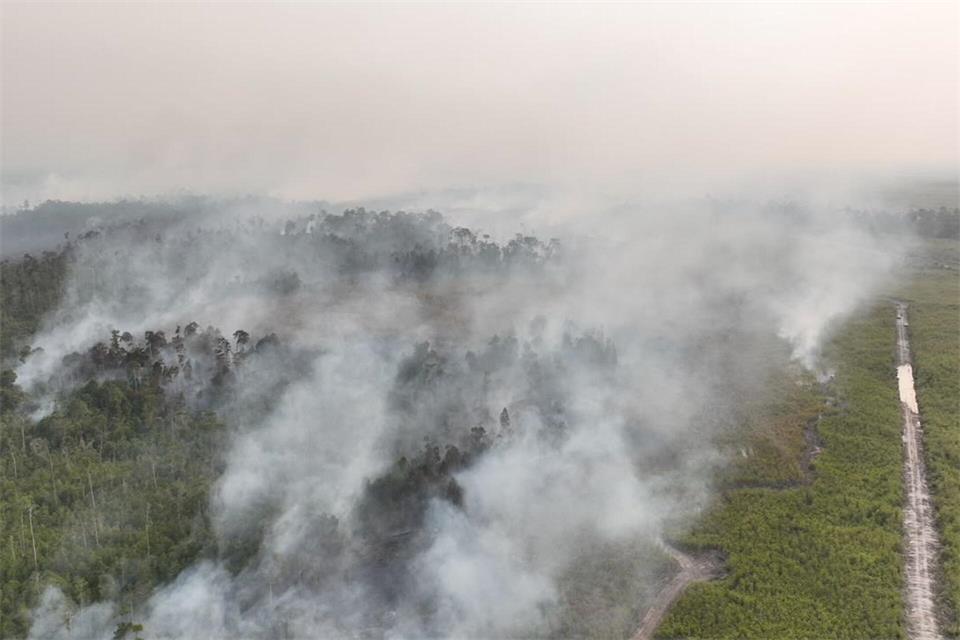 Auf Borneo wüten seit Wochen schwere Waldbrände.-/BNPB/dpa