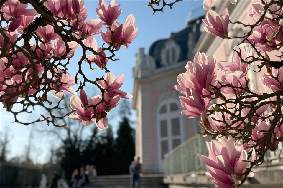 Auf Nordrhein-Westfalen wartet heute schönes Wetter. (Symbolbild)Wolf von Dewitz/dpa