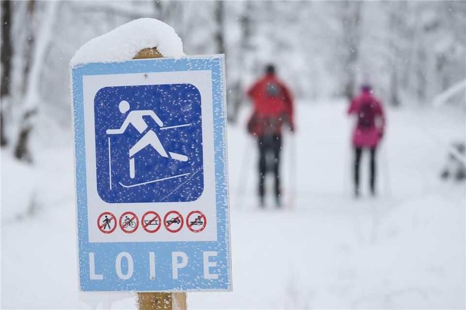 Auf Skiern durch den Gebirgswald: Nach den Schneefällen der vergangenen Tage sind vielerorts im Erzgebirge Loipen gespurt. (Archivbild)Sebastian Kahnert/dpa