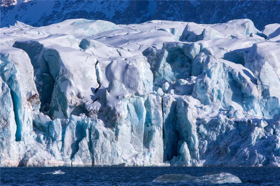 Auf Spitzbergen ist bei einem einjährigen männlichen Eisbären das Vogelgrippe-Virus nachgewiesen worden.Jens Büttner/dpa-Zentralbild/dpa
