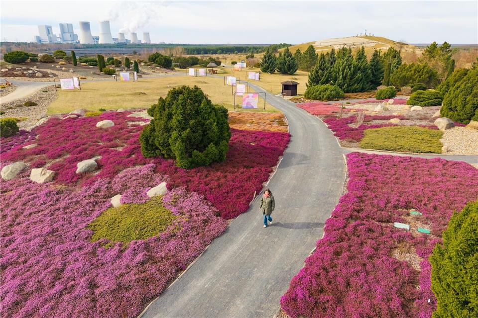 Auf dem 20 Hektar großen Areal des Findlingsparks Nochten lagern 7.000 skandinavische Findlinge, eingebettet in sieben malerisch angelegte Gartenwelten. Jürgen Lösel/dpa/ZB