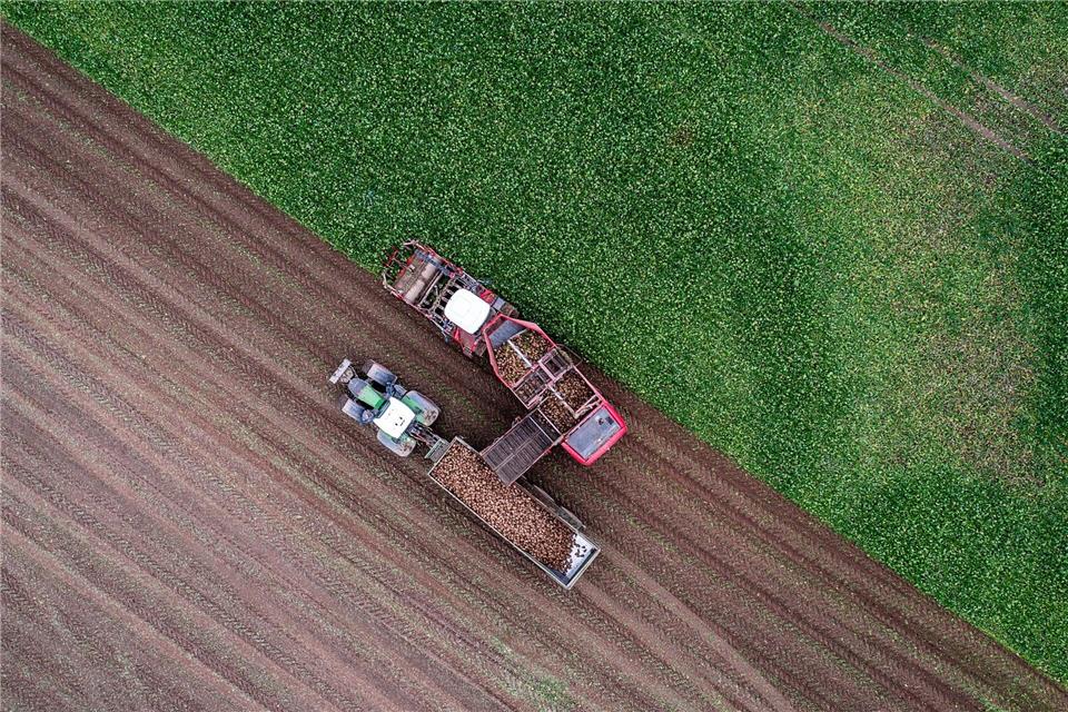 Auf dem Bauerntag wollen die Landwirte über ihre Forderungen an die künftige Bundesregierung diskutieren. (Archivbild)Jens Büttner/dpa