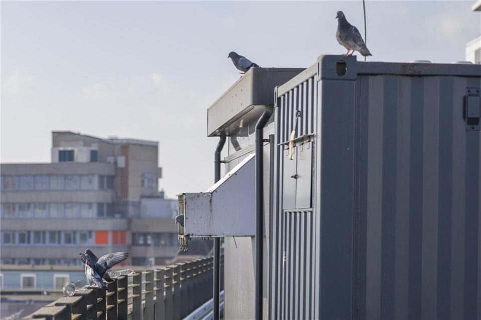 Auf dem Dach eines Parkhauses in Bremen steht ein betreutes Taubenhaus.Focke Strangmann/dpa