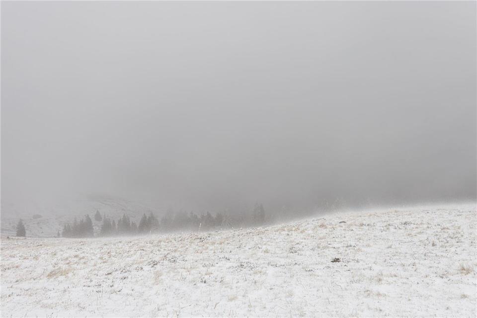 Auf dem Feldberg liegt Schnee.Philipp von Ditfurth/dpa
