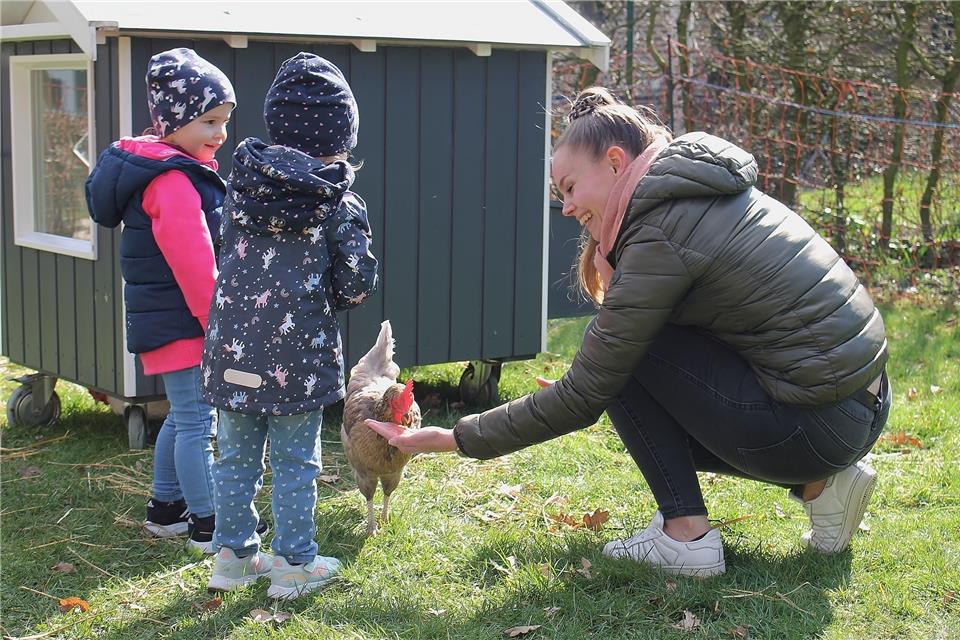 Auf dem Gelände des St.-Silvester-Kindergartens gibt es jetzt einen Hühnerstall.