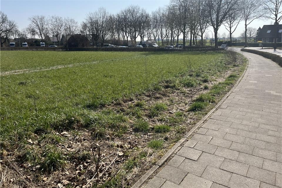 Auf dem Gelände im Bereich Südring/Freiter Pättken soll der neue Bürgerpark entstehen.