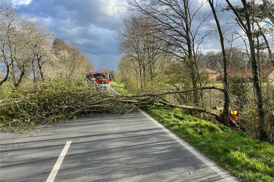 Auf dem Helweg in Raesfeld blockierte ein Baum die Fahrbahn.