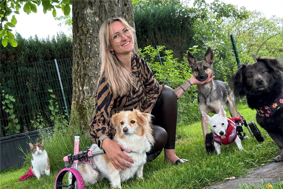 Auf dem „Lebenshof“ von Lara Sohn in Heusweiler leben Hunde und Katzen friedlich zusammen. Alle stammen aus Krisengebieten und sind gelähmt – ihrer Lebensfreude tut das keinen Abbruch.Katja Sponholz/dpa