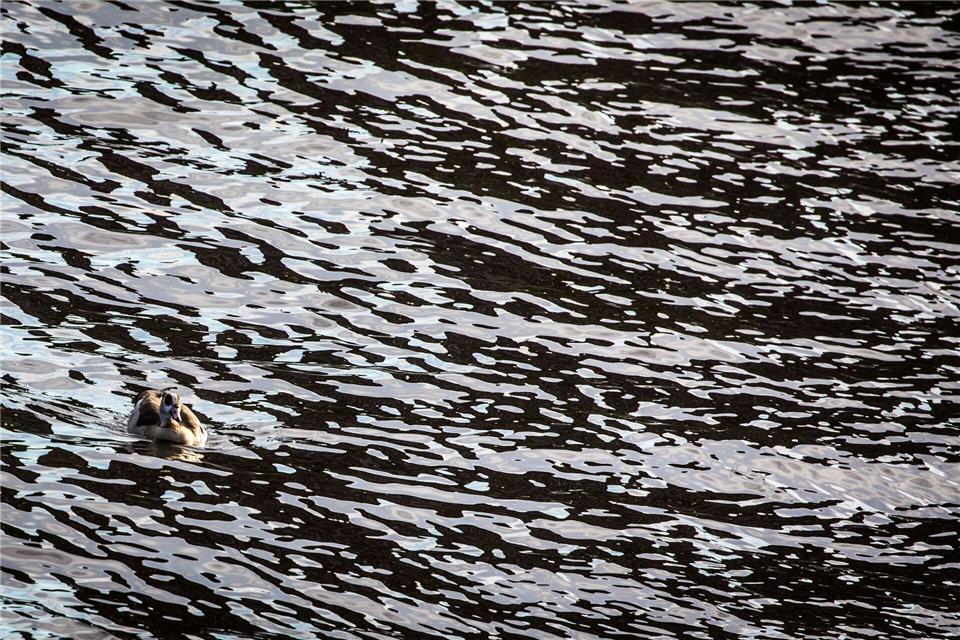 Auf dem Main in Unterfranken gab es eine Havarie, bei der Dieselkraftstoff ins Wasser gelaufen ist. (Symbolbild)picture alliance / Frank Rumpenhorst/dpa