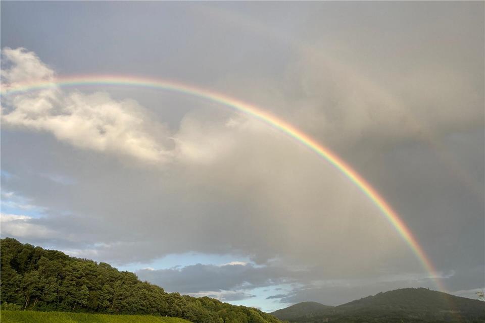 Auf dem Petersberg bei Bonn wurden früher die Gäste der Bundesregierung untergebracht - die Bonner Republik wird in der Rückschau oft verklärt. (Archivbild)Federico Gambarini/dpa