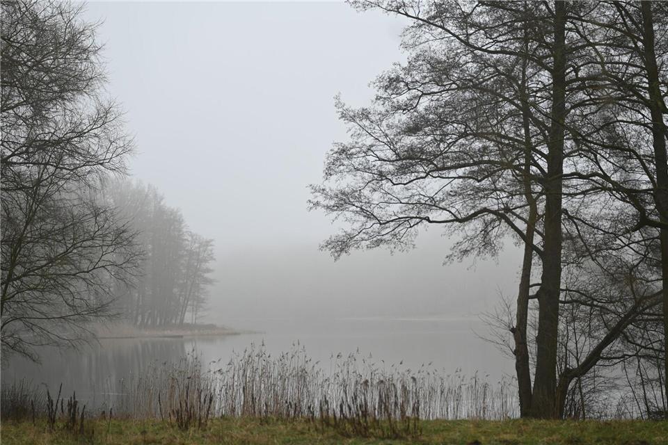 Auf dem Sprengplatz im Grunewald sind Detonationen zu hören. Spaziergänger haben der Polizei zufolge aber nichts zu befürchten. (Archivbild)David Hammersen/dpa