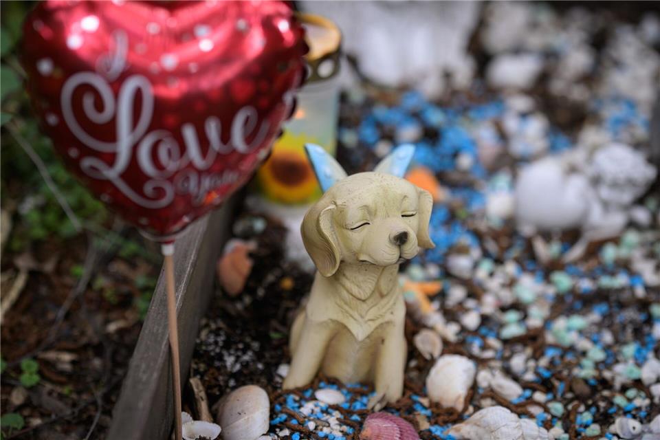 Auf dem Tierfriedhof in Frankfurt finden Hunderte Tiere ihre letzte Ruhe.Hannes P. Albert/dpa