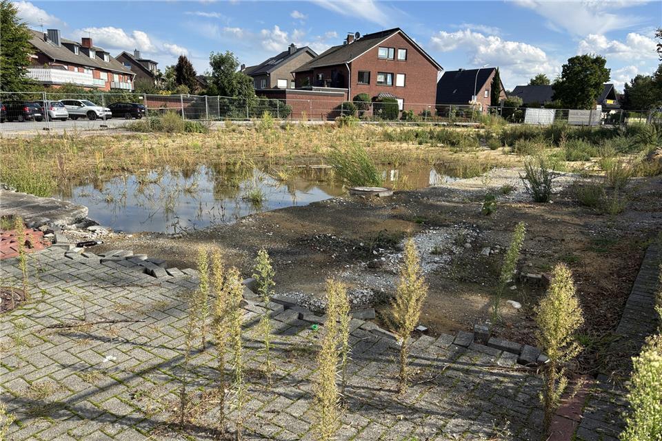 Auf dem künftigen Bauplatz des Rössmann-Drogeriemarktes geschieht seit seit Abriss des Hauses Eppring Anfang des Jahres nichts mehr. Im Frühjahr sollen die Bauarbeiten beginnen.