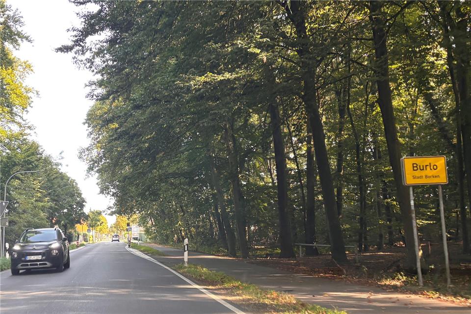 Auf der Borkener Straße in Burlo wird künftig Tempo 30 in einem Abschnitt gelten.