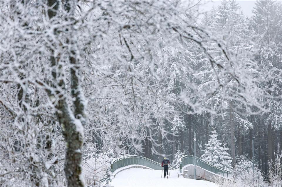Auf der Kammloipe herrschen größtenteils gute bis sehr gute Bedingungen für Langläufer. (Archivbild) Jan Woitas/dpa