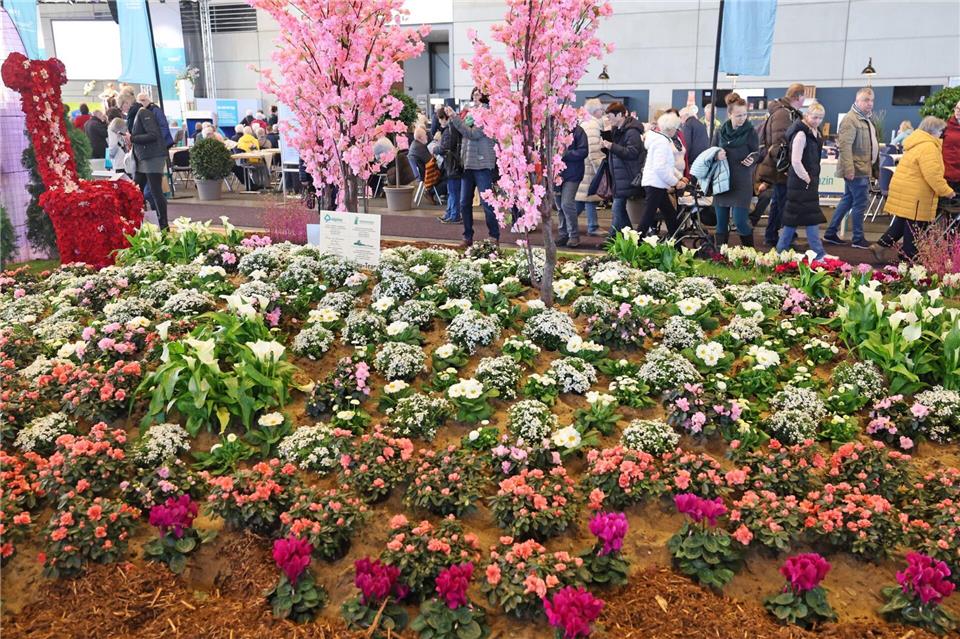 Auf der Ostseemesse steht bereits alles in voller Blüte.Bernd Wüstneck/dpa