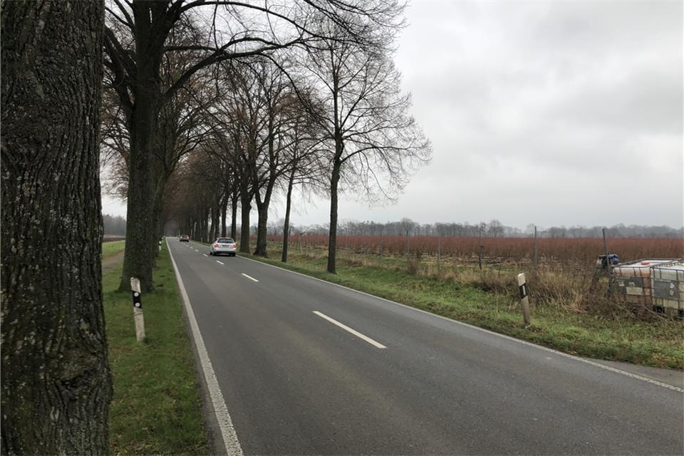Auf der Rhader Straße hat es im Jahr 2021 mehr Unfälle gegeben als in den Vorjahren.