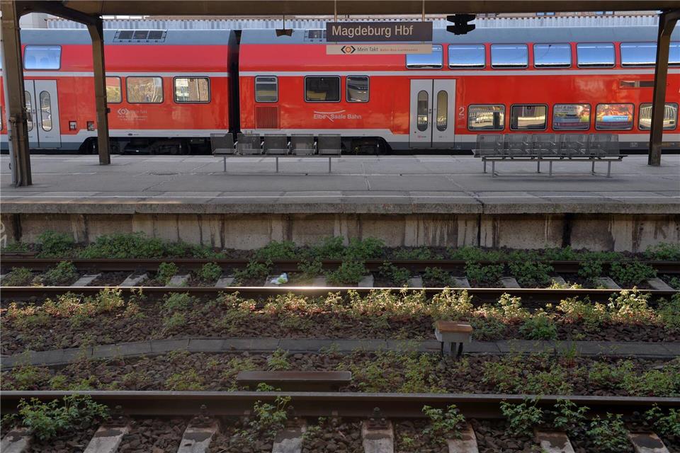 Auf der einen Seite eine Rekordnachfrage - auf der anderen Seite sieht Infrastrukturministerin Hüskens (FDP) Qualitätsmängel. (Symbolbild)picture alliance / dpa