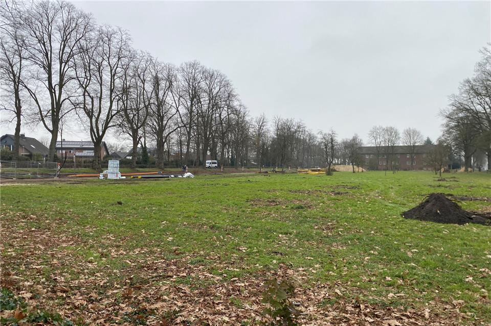 Auf der künftigen Festwiese wurden schon die Obstbäume entfernt. Sie soll für das Fest im September hergerichtet werden.