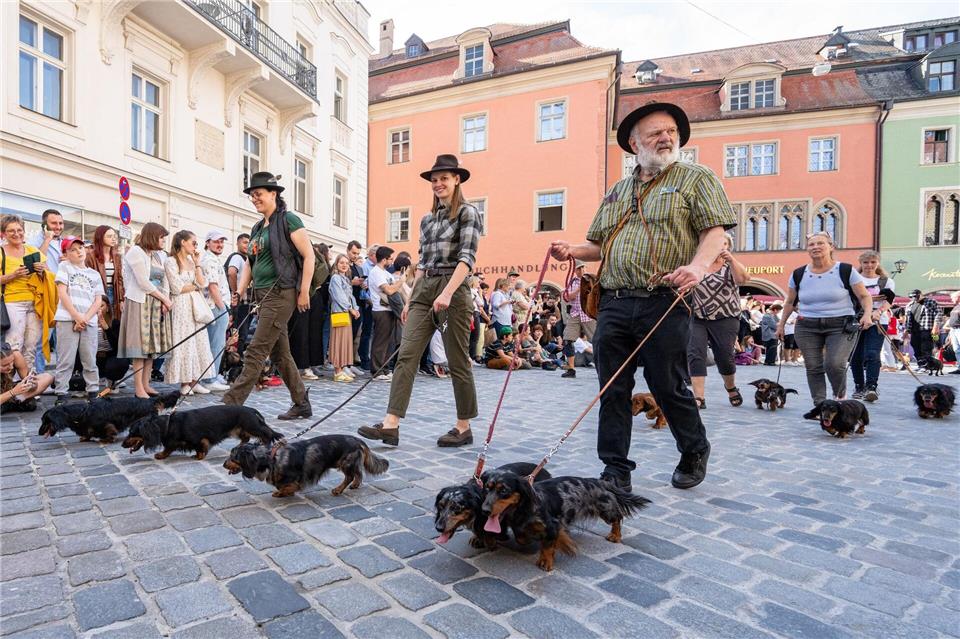 Auf der letzten Dackelparade spazierten mehr als 1.000 der kurzbeinigen Hündchen mit ihren Besitzerinnen und Besitzer durch die Stadt. (Archivbild)Armin Weigel/dpa