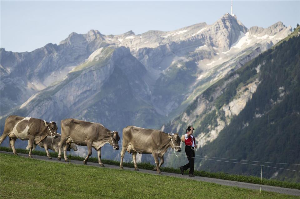 Auf die Spitze des Säntis geht es in diesem Sommer nur zu Fuß (Archivbild)Gian Ehrenzeller/KEYSTONE/dpa
