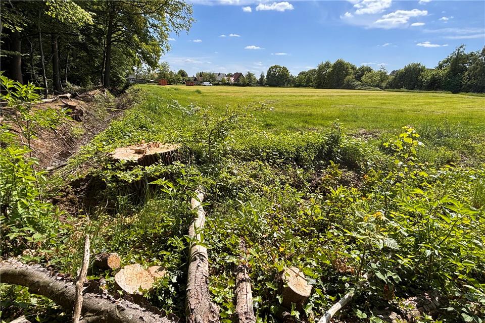 Stadt Borken legt Grundstückspreise für Fläche am Sternbusch fest Auf diesem Gelände zwischen Ahauser Straße und Sternbusch entsteht voraussichtlich im kommenden Jahr ein Neubaugebiet.