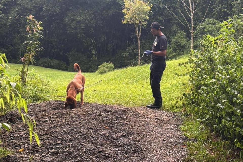Auf diesem von der costa-ricanischen Ermittlungsbehörde zur Verfügung gestellten Bild ist der Fundort zu sehen.---/OIJ Costa Rica/dpa