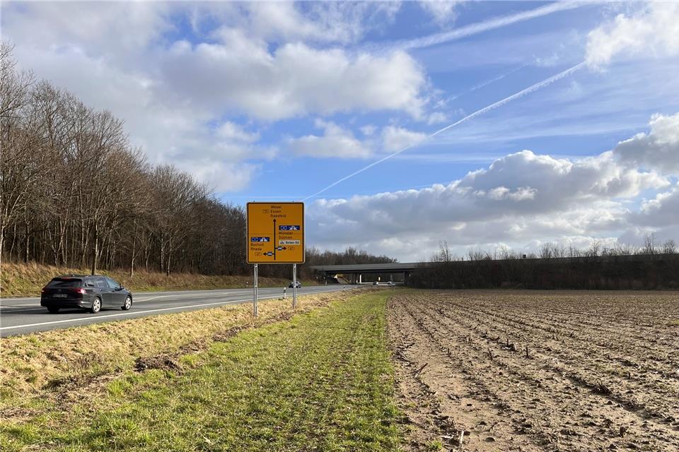 Auf dieser Fläche soll unter anderem ein Toom-Baumarkt entstehen. 