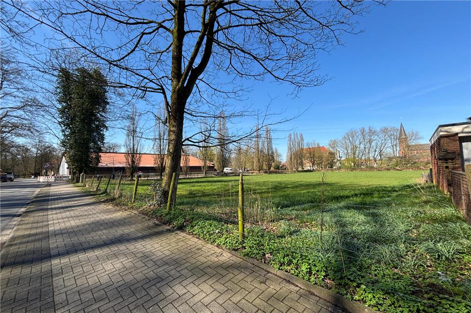 Auf dieser Grünfläche Am Tiergarten soll der Kita-Neubau stehen.