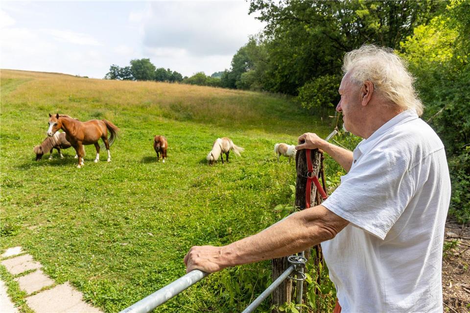 Auf dieser Wiese fand der Betreiber des Outdoor-Zentrum-Lahntal, Manfred Köhnlein, die neun Schafe, die durch Wolfsrisse getötet wurden.Christian Lademann/dpa