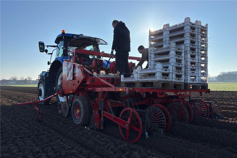 Auf einem Feld am Marbecker Ortsrand werden die ersten Frühkartoffeln ausgebracht.