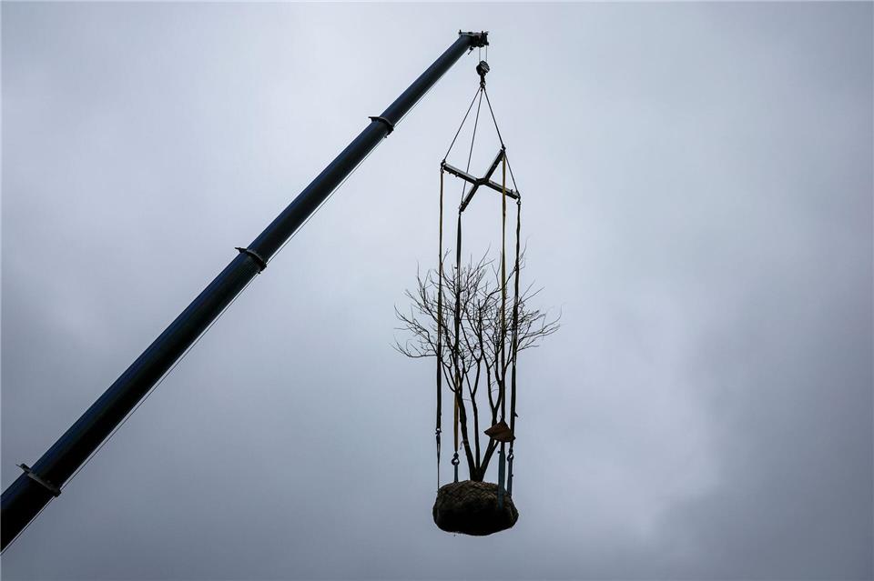 Auf einem alten Eisenbahnviadukt im Leipziger Osten werden Bäume gepflanzt.Jan Woitas/dpa