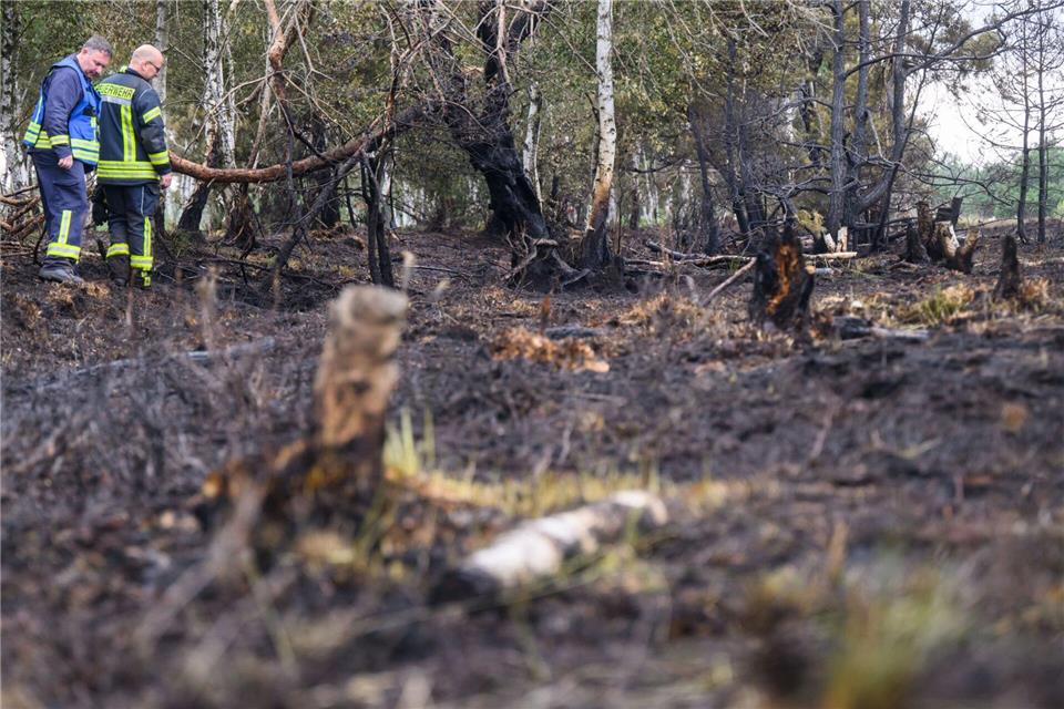 Auf einer Fläche von rund vier Hektar ist Moorboden bei Diepholz in Brand geraten. (Symbolbild)Julian Stratenschulte/dpa