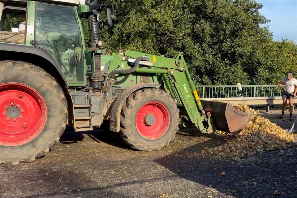 Auf einer Strecke von 700 Metern hat ein Landwirt Zwiebeln auf einer Straße verloren.Nonstopnews/dpa