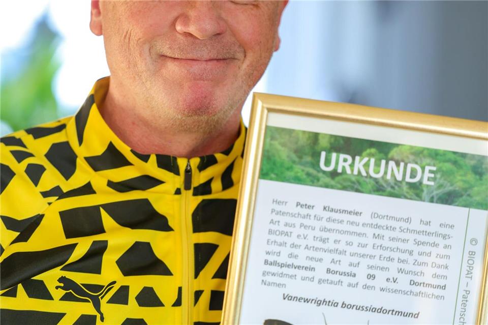 Auf seinen Wunsch und gegen eine Spende wurde die neu entdeckte Art Vanewrightia borussiadortmund getauft.Christoph Reichwein/dpa