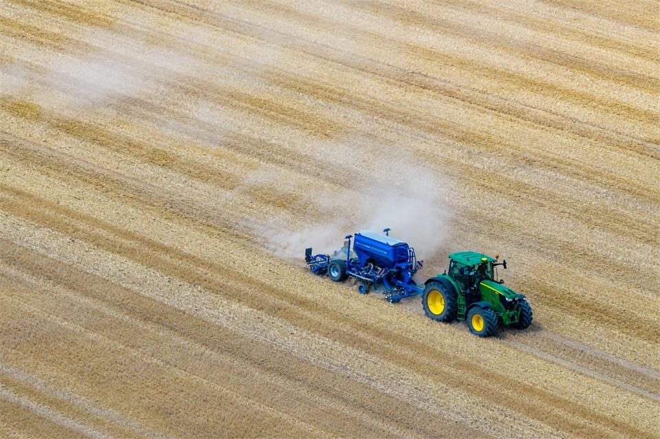 Aufgrund der Dürre in diesem Jahr rechnen die Landwirte in Nordrhein-Westfalen mit Einbußen. (Archivbild)Christoph Reichwein/dpa