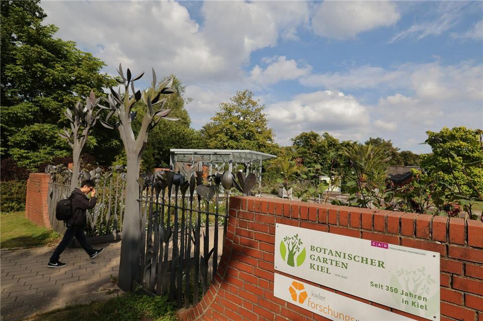 Aufgrund seiner Größe können die Mitarbeiter in Kiel nicht immer den gesamten Botanischen Garten überwachen. (Archivbild)Ulrich Perrey/dpa