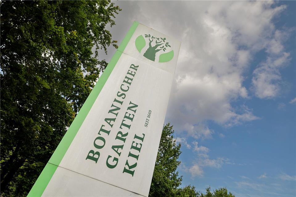 Kaktus-Diebe schlagen immer wieder in Botanischen Gärten zu Aufgrund seiner Größe können die Mitarbeiter in Kiel nicht immer den gesamten Botanischen Garten überwachen. (Archivbild)Ulrich Perrey/dpa